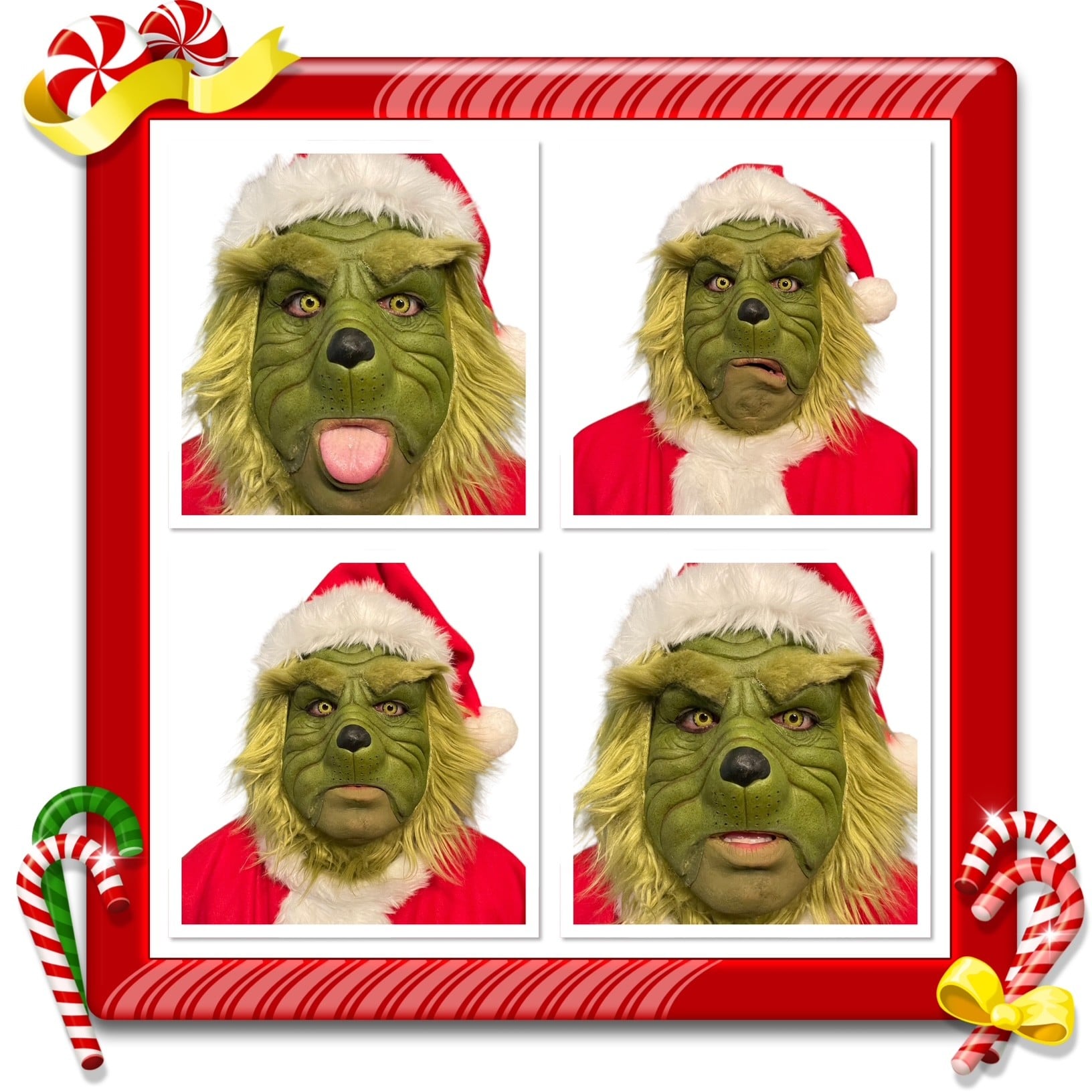 Saloon Girls for Can Can Dancers