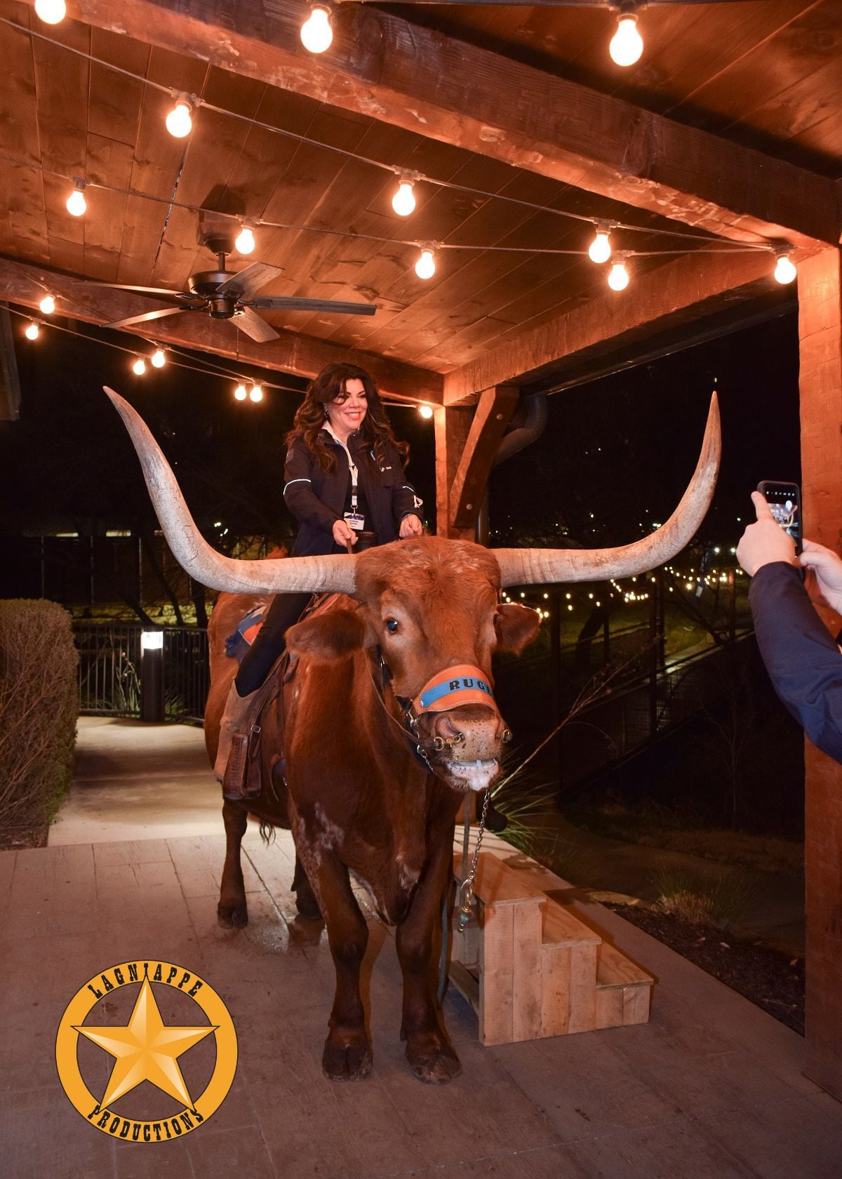 Longhorn_LP Branded Faro Dealer